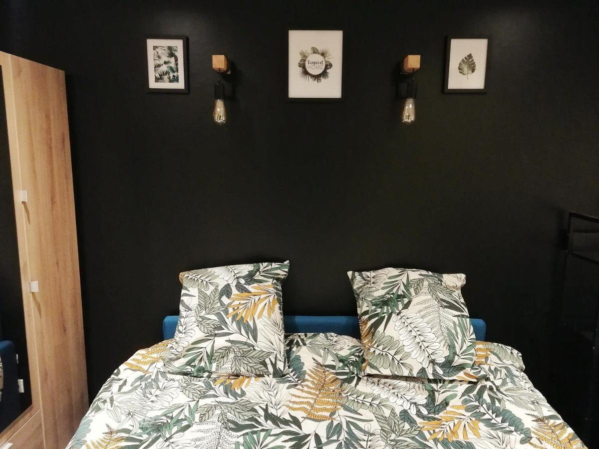 Sleep In Colmar - Parking - Centre Apartment Ngoại thất bức ảnh